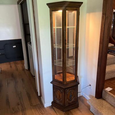 Lighted Curio Cabinet (D-MG)
