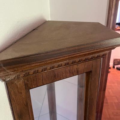 Lighted Curio Cabinet (D-MG)