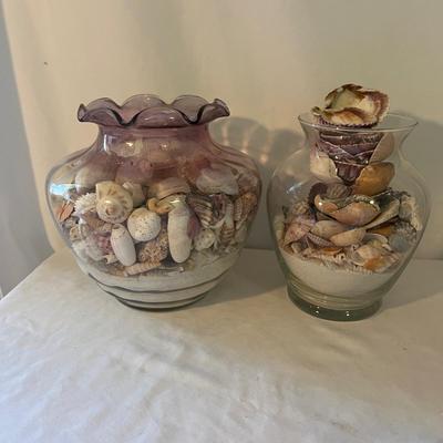 Seashells, Seashells, Seashells (D-MG)