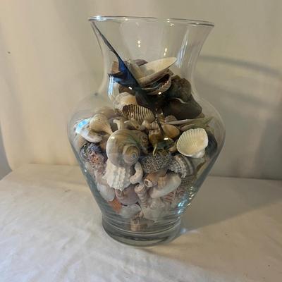 Seashells, Seashells, Seashells (D-MG)