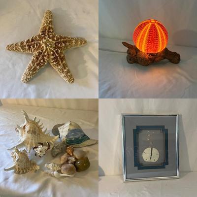 Seashells, Seashells, Seashells (D-MG)