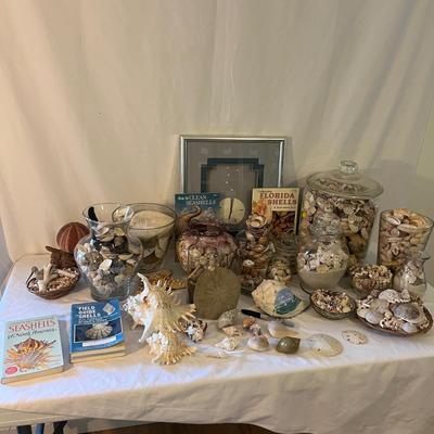 Seashells, Seashells, Seashells (D-MG)