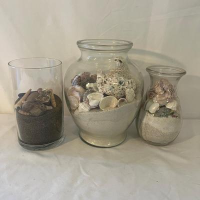 Seashells, Seashells, Seashells (D-MG)