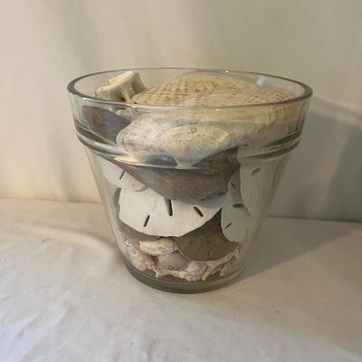 Seashells, Seashells, Seashells (D-MG)