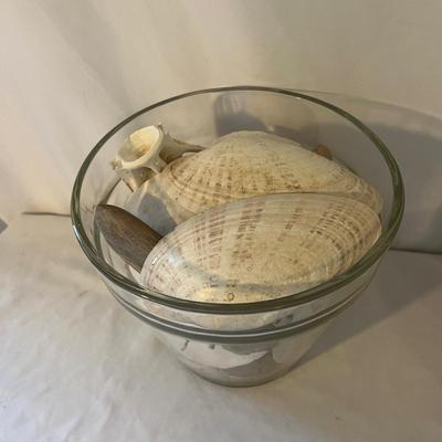 Seashells, Seashells, Seashells (D-MG)