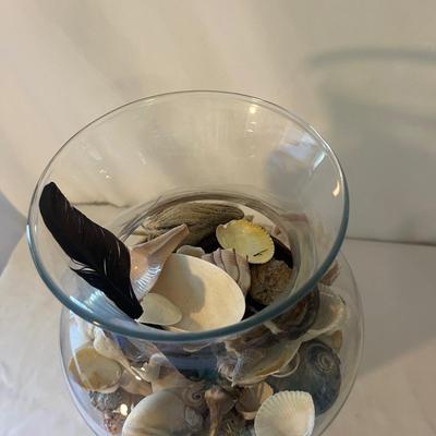 Seashells, Seashells, Seashells (D-MG)