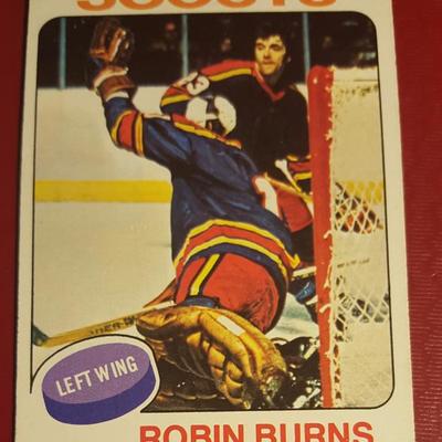 Robin Burns Vintage Hockey Card