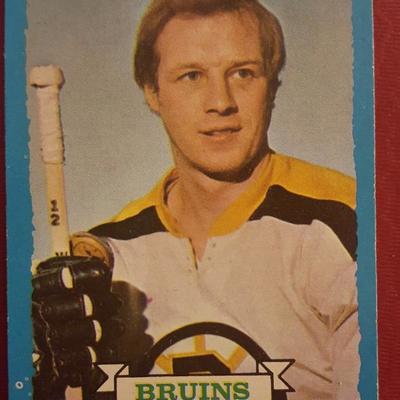 Wayne Cashman Bruins Left Wing Vintage Hockey Card
