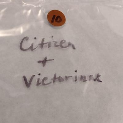 Pair of Women's Fashion Wrist Watches Citizens and Victorinox Swiss Army (#10)