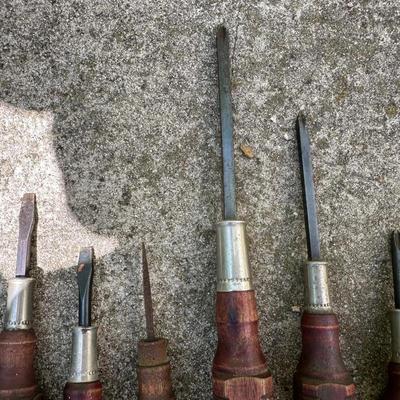 Screwdriver Lot