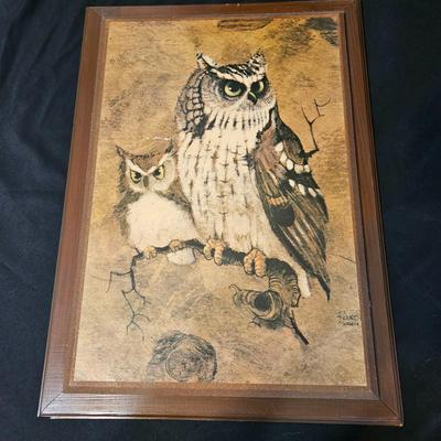 Owl Art and More (LR-DW)