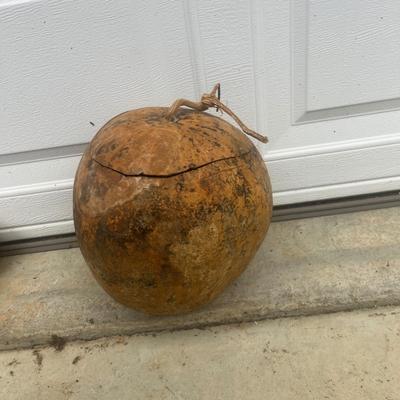 Dried Dipper Gourds and more (G2-MG)