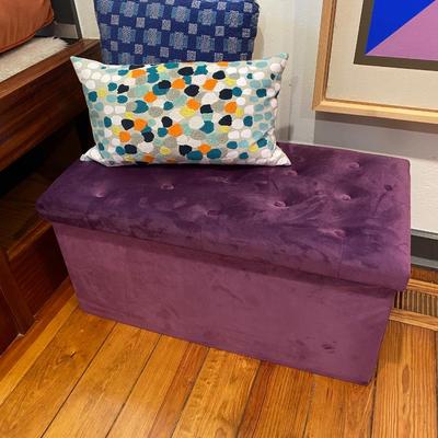 Purple Chest and Pillow Lot