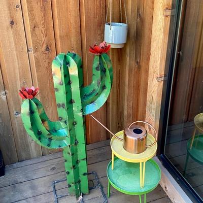 Modern Cactus Patio Lot