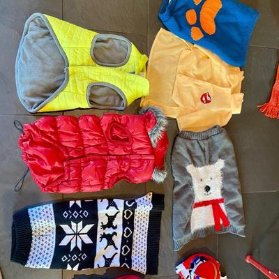 Dog Lot - Wagon, Backpacks, and more!