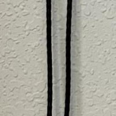 Sterling Silver Bolo Tie With Turquoise And Buffalo Nickel