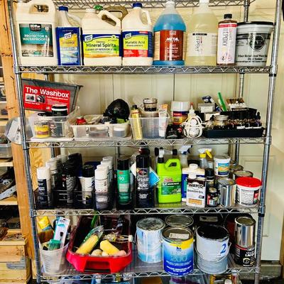 Shelf with Chemicals #2