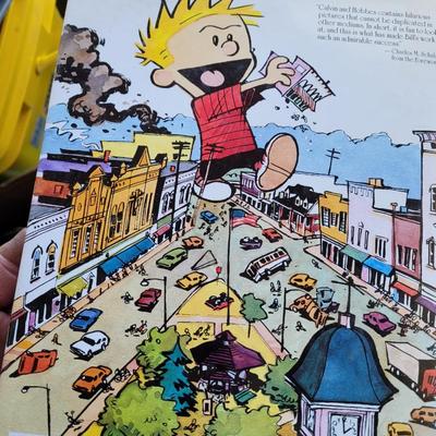 Calvin and Hobbs 1st edition