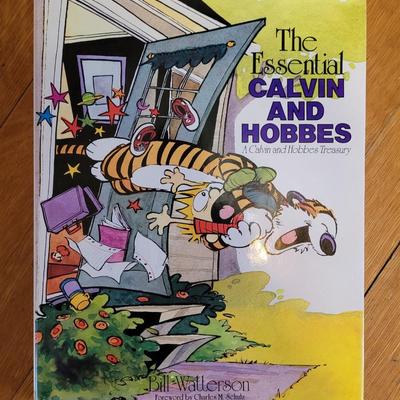 Calvin and Hobbs 1st edition