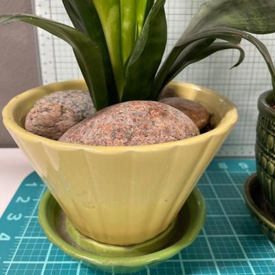 2 peace Lilly & snake plant in pots