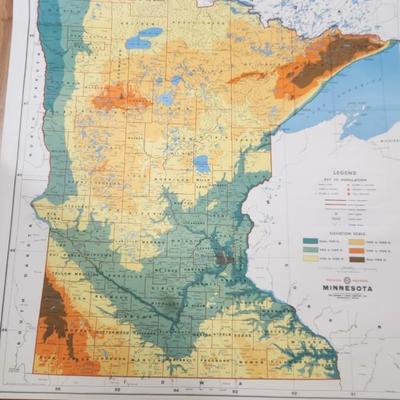 Cram's physio-political map of Minnesota