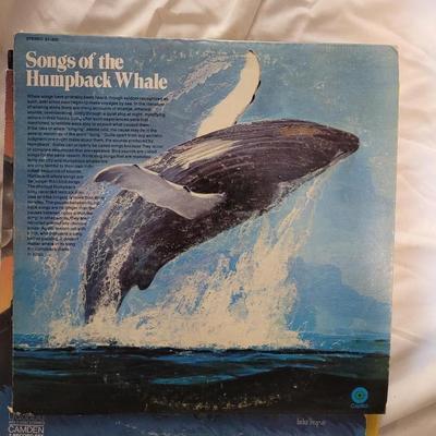 Lot of 6 vinyl lps