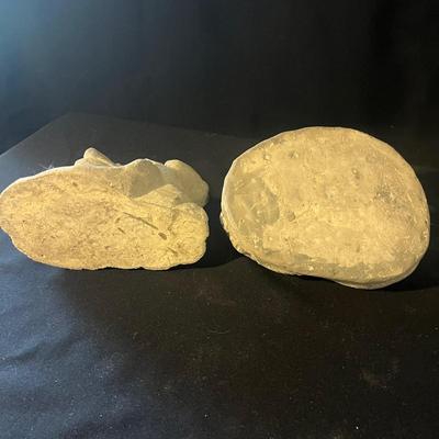 Cement & Stone Cats (LR-MG)