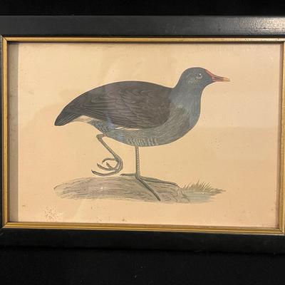 Water Fowl Art Collection Includes Signed Prints & More (LR-MG)