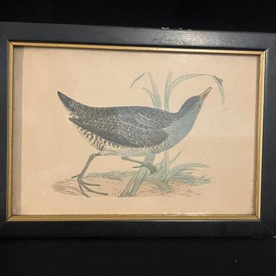 Water Fowl Art Collection Includes Signed Prints & More (LR-MG)