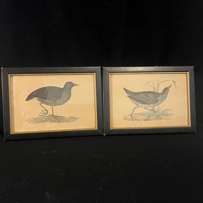 Water Fowl Art Collection Includes Signed Prints & More (LR-MG)