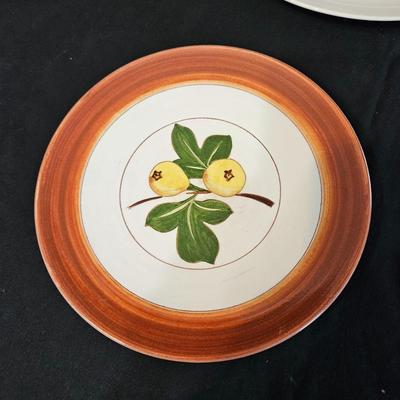 Mountain Wood Stoneware and other Floral Plates (LR-DW)