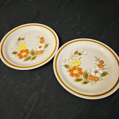 Mountain Wood Stoneware and other Floral Plates (LR-DW)