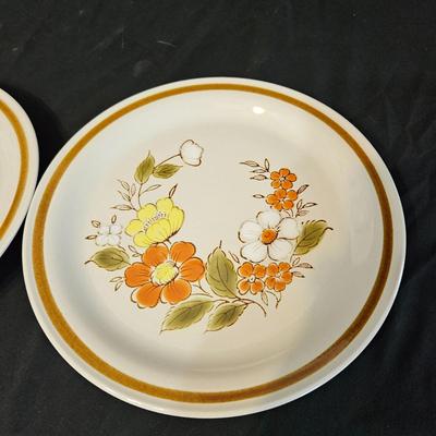 Mountain Wood Stoneware and other Floral Plates (LR-DW)