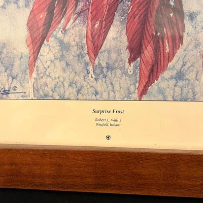 Framed Bird Art and more (D-DZ)