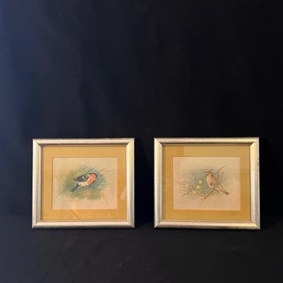 Framed Bird Art and more (D-DZ)