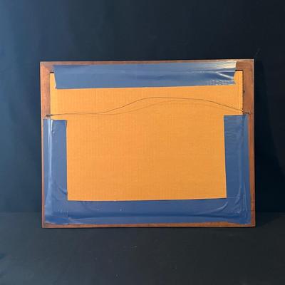Framed Bird Art and more (D-DZ)