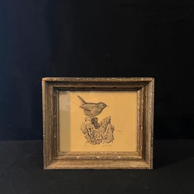 Framed Bird Art and more (D-DZ)
