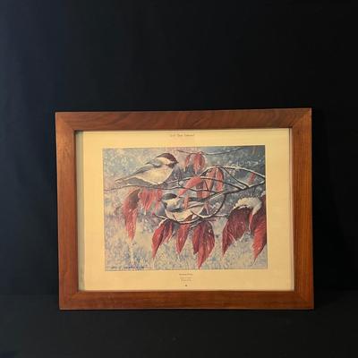 Framed Bird Art and more (D-DZ)