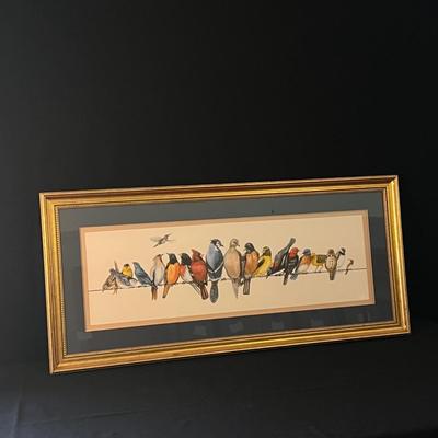 Framed Bird Art and more (D-DZ)
