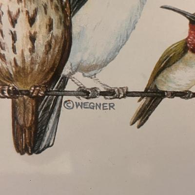 Framed Bird Art and more (D-DZ)