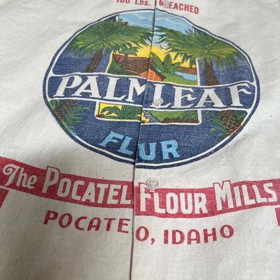 WOW! FLour sack shirt IZOD brand