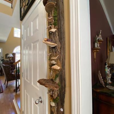 Native Appalachian Mushroom Art Display