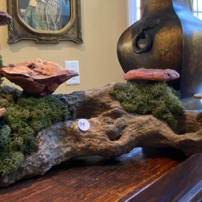 Native Appalachian Mushroom Art Display