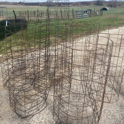 Tomato Cages.