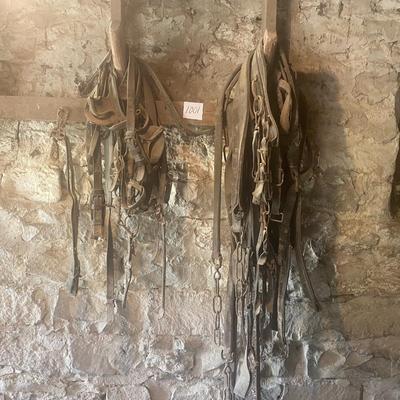 Harness Pieces