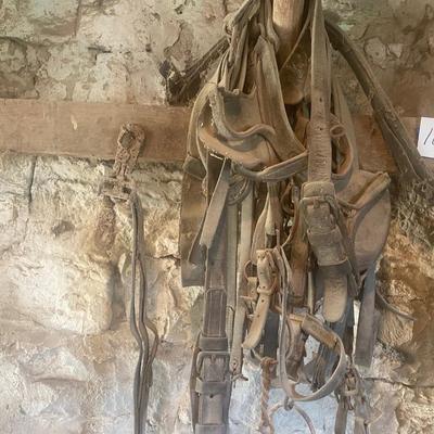 Harness Pieces