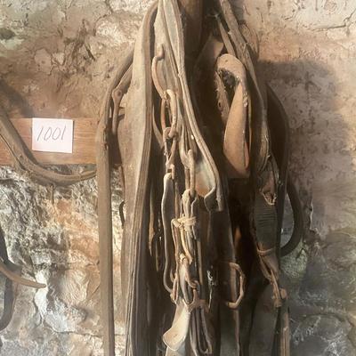 Harness Pieces