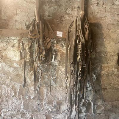 Harness Pieces