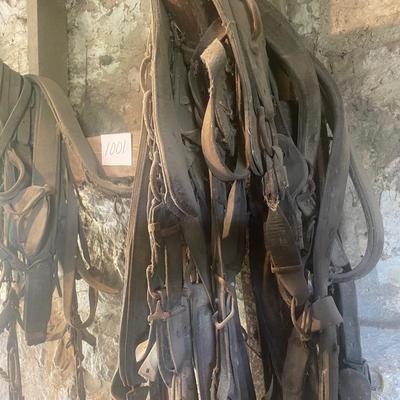 Harness Pieces