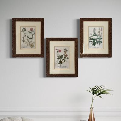 FR074 Set of Three Framed Botanical Prints